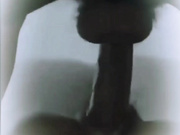 虚脱哦，第二天一大早的打桩不易